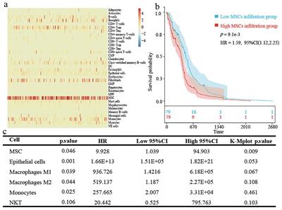 Identification and validation of potential prognostic biomarkers in glioblastoma via the mesenchymal stem cell infiltration level